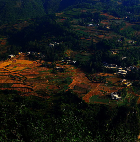 ���λᡤ(j9)�ٷ���վ-������Ϸ��һƷ��